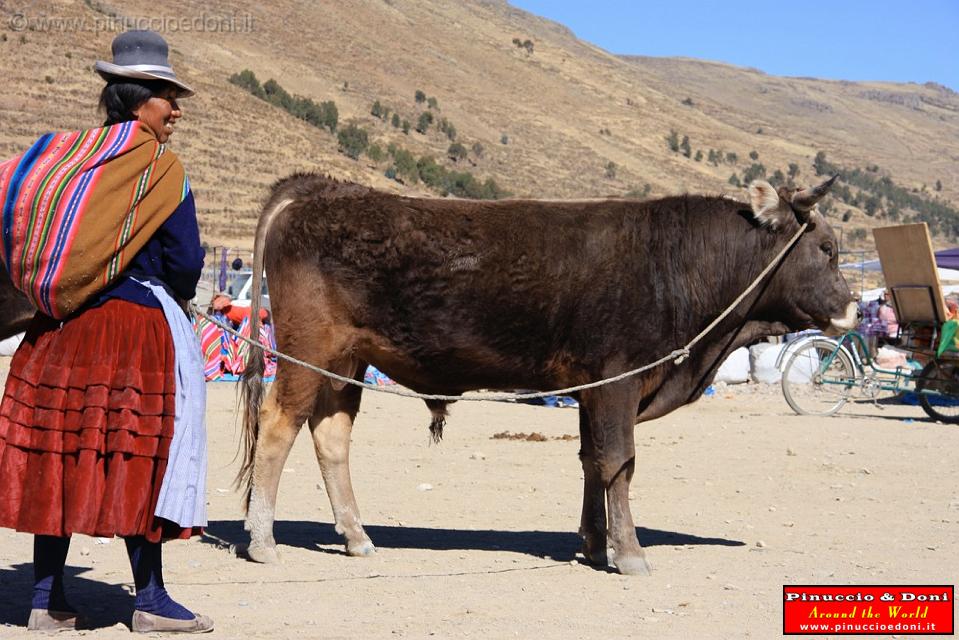 PERU - Mercado de los toros - 04.jpg